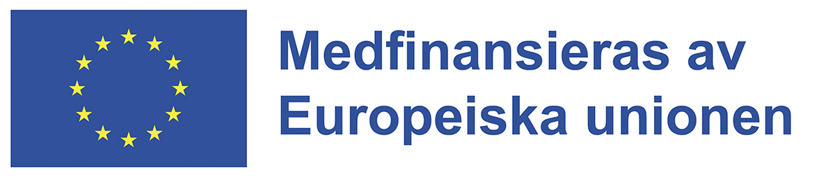 EU-symbol - Medifinansieras av Europeiska unionen